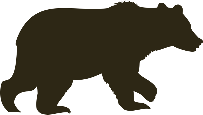 Bear PNG Transparent Images Free Download, Vector Files