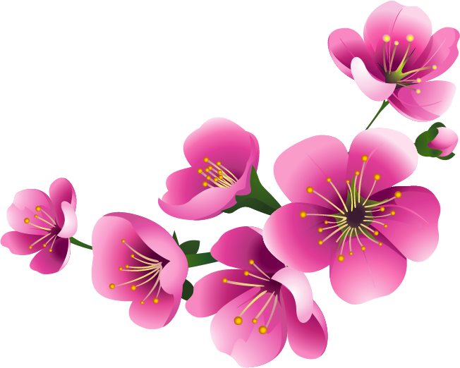 Blossom Flower PNG Image - PurePNG