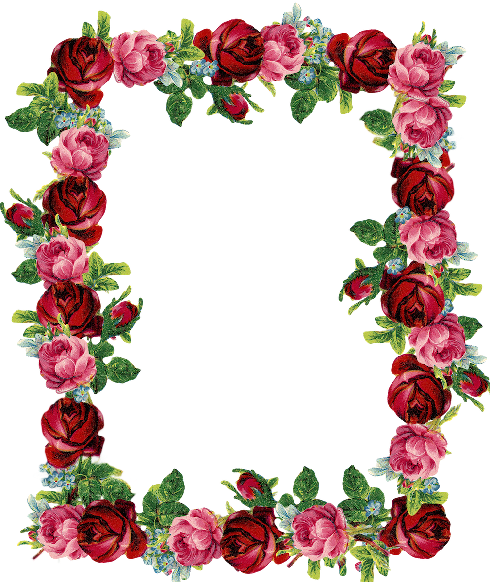 hd pictures red roses border