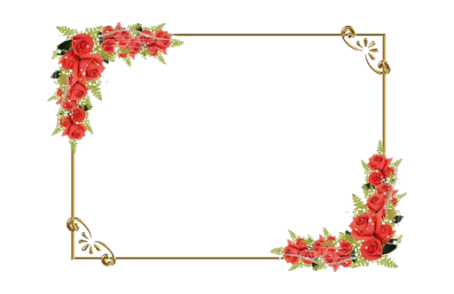 vector graphic flower frame png