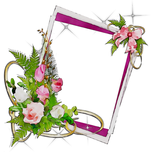 vector graphic flower frame png