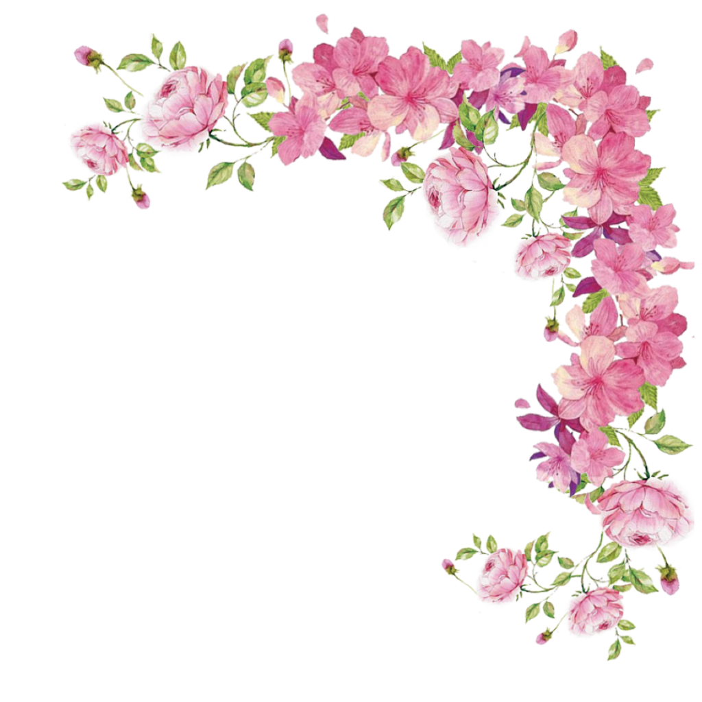 Pink flower png transparent background, Pink flower vector png hd