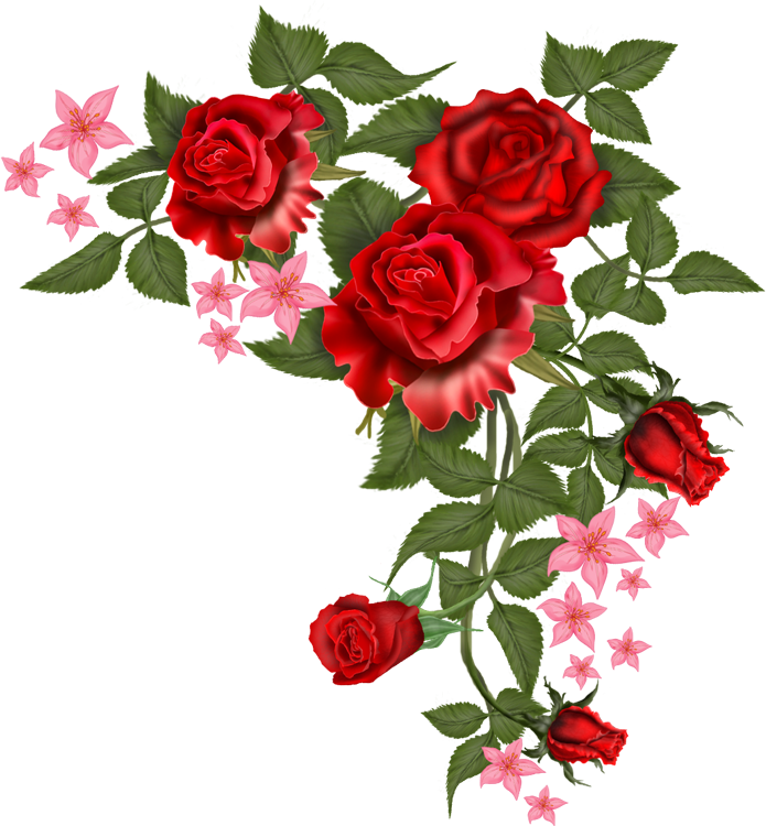 vector flowers png