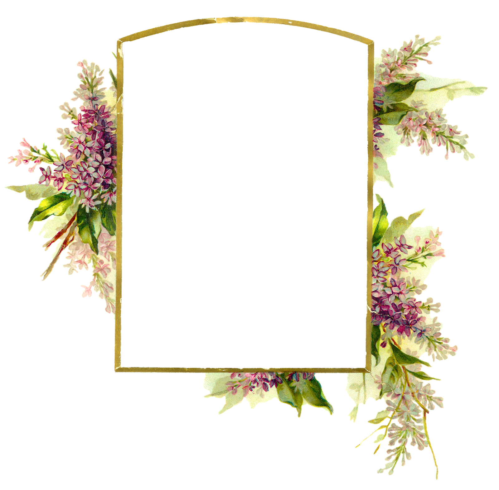 flowers frame png