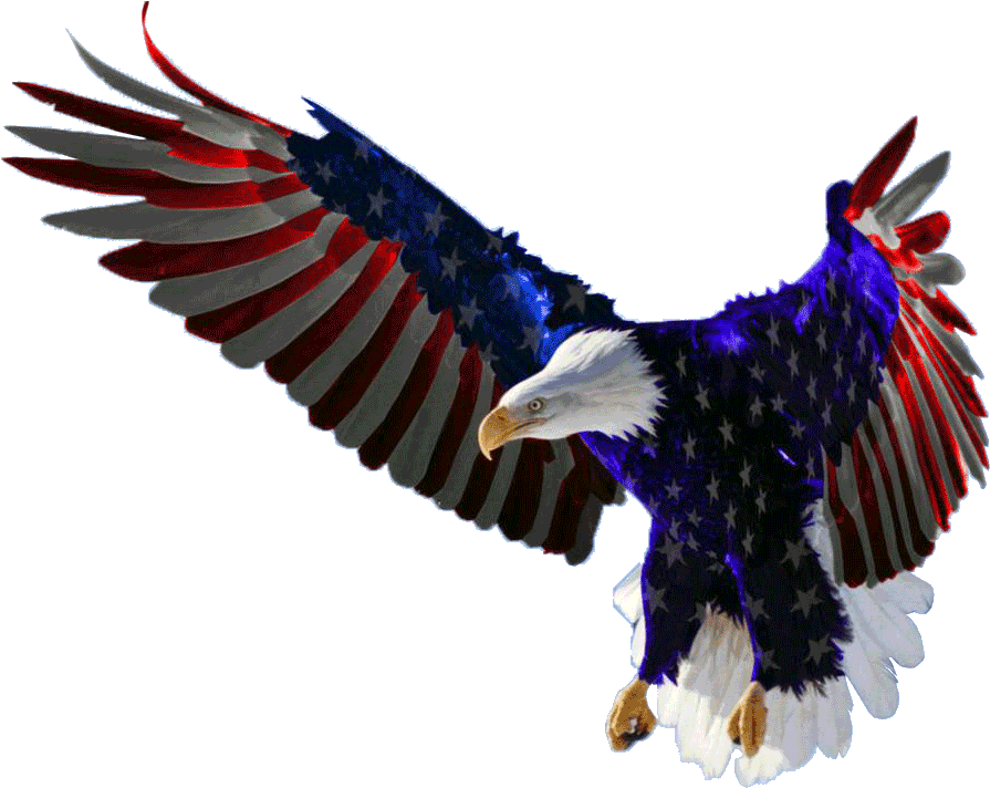 Download Eagle American Free Transparent Image HD HQ PNG Image