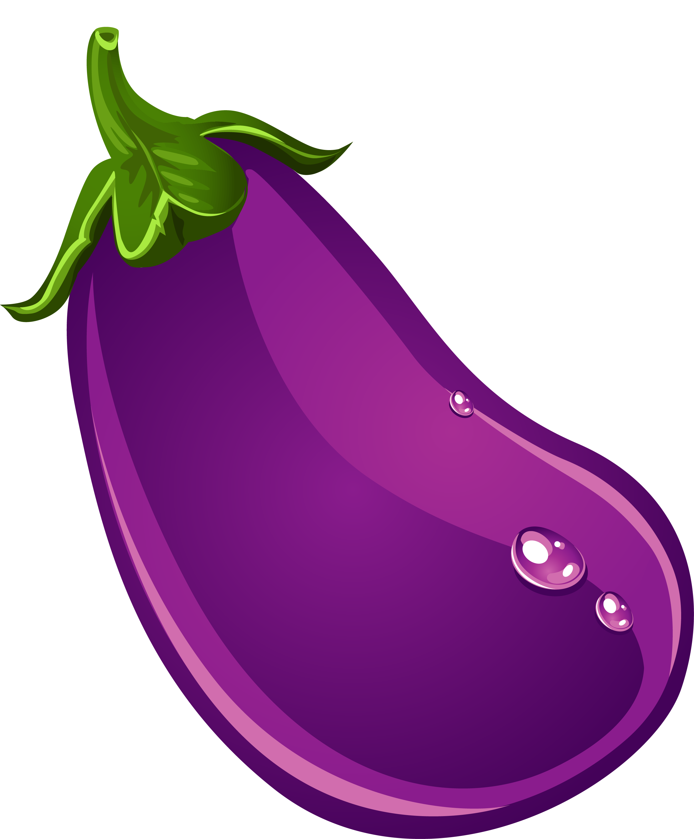 brinjal clipart