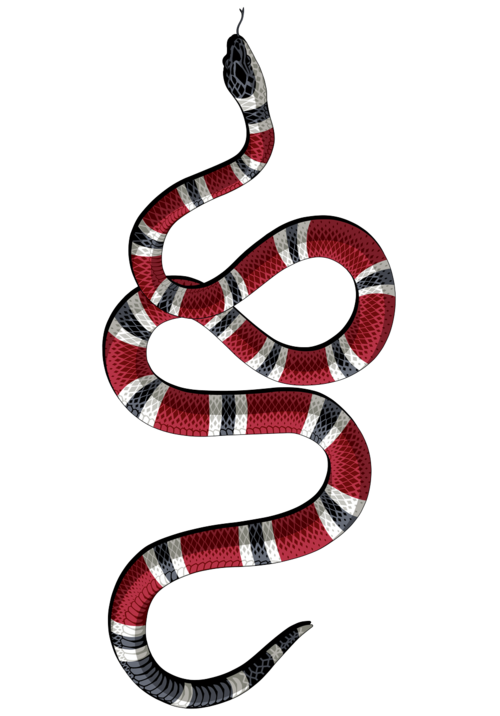 serpent png