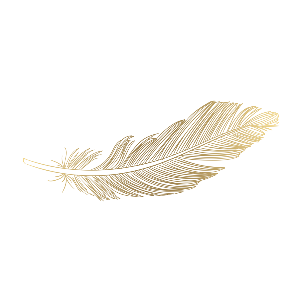 Golden Feather PNG Transparent Images Free Download, Vector Files