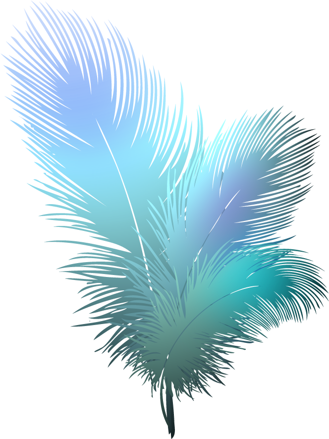 feather vector png