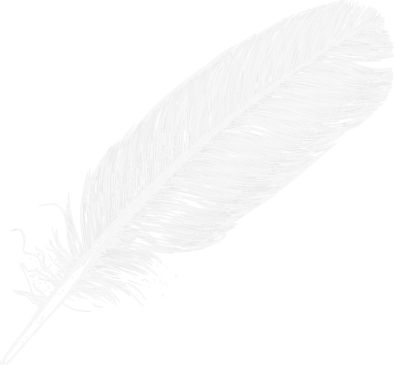 White Feather PNG Transparent Images Free Download, Vector Files