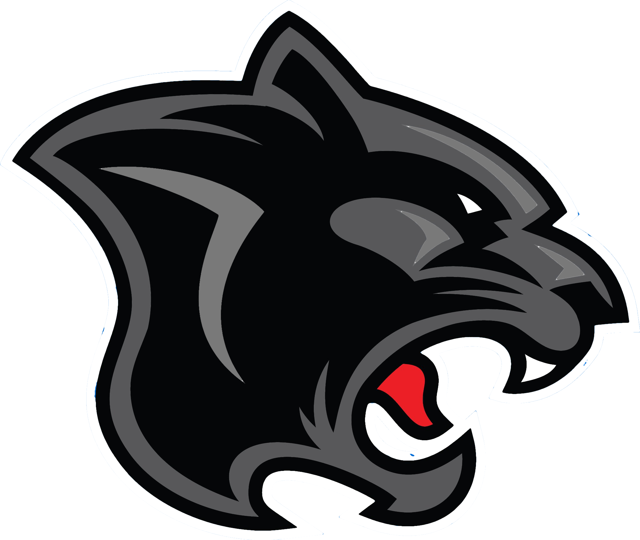 Panthers Logo PNG Transparent Images - PNG All