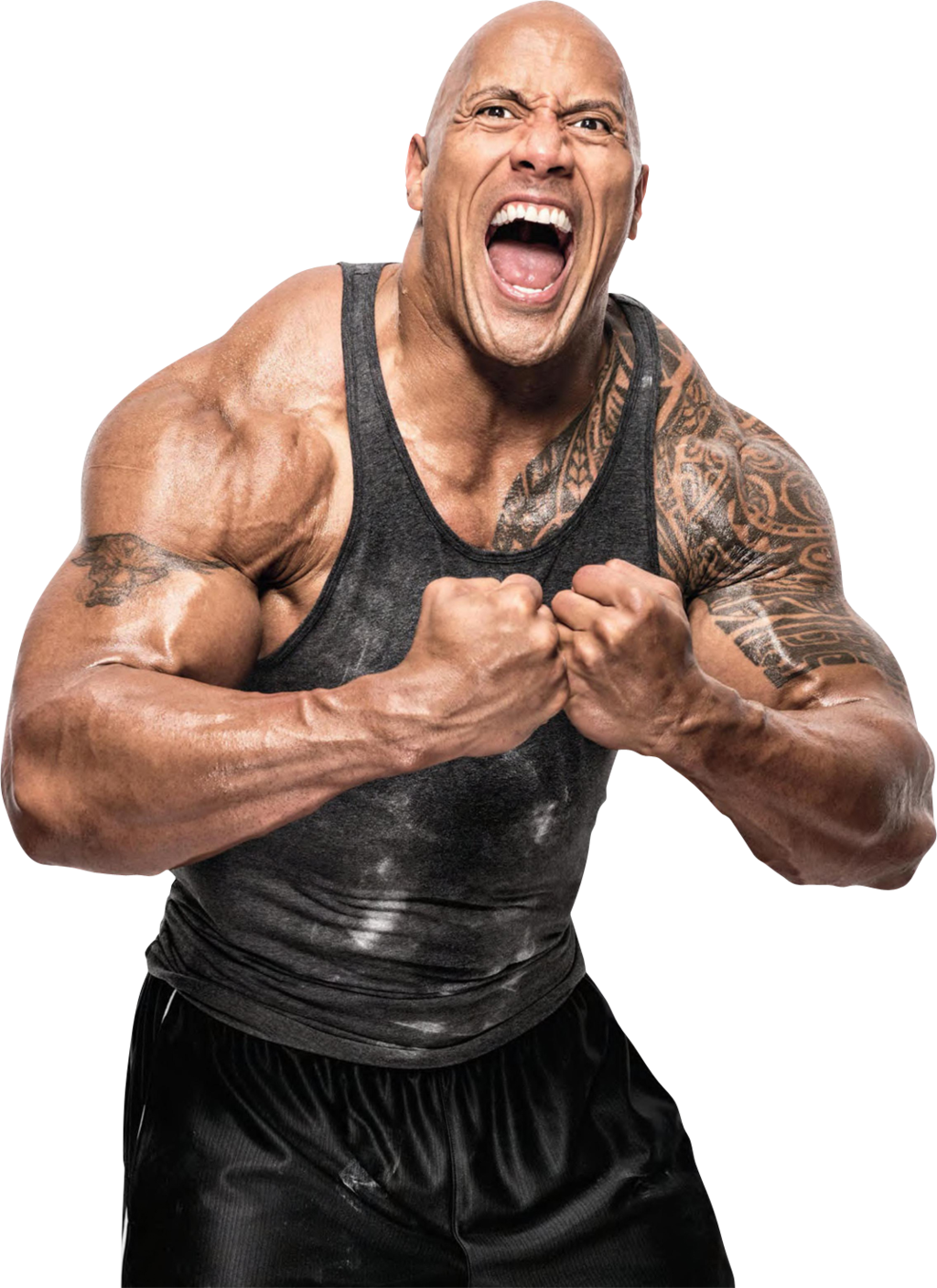 Download Body Dwayne Johnson Free Photo HQ PNG Image