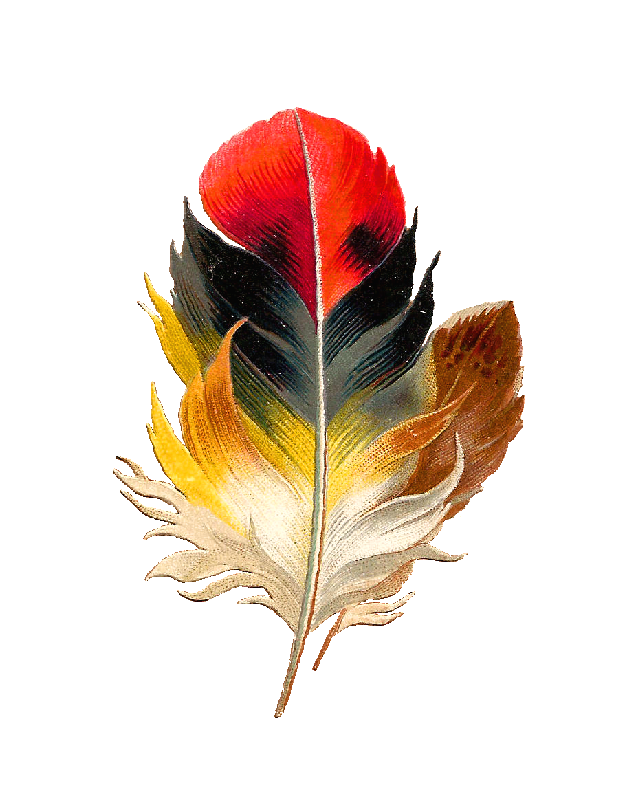 Golden Feather PNG Transparent Images Free Download, Vector Files