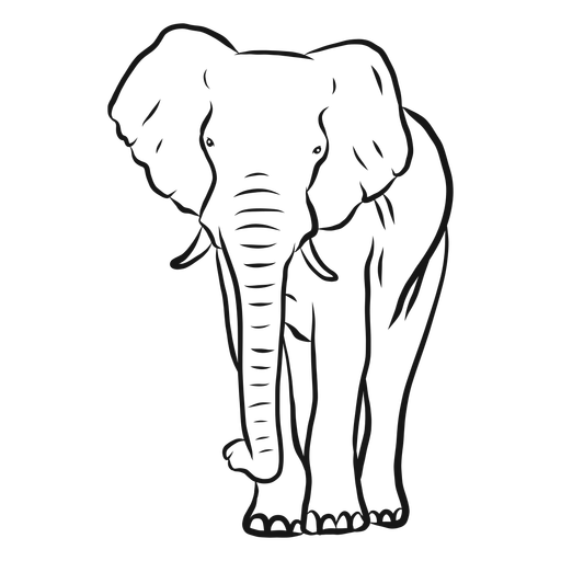 elephant vector