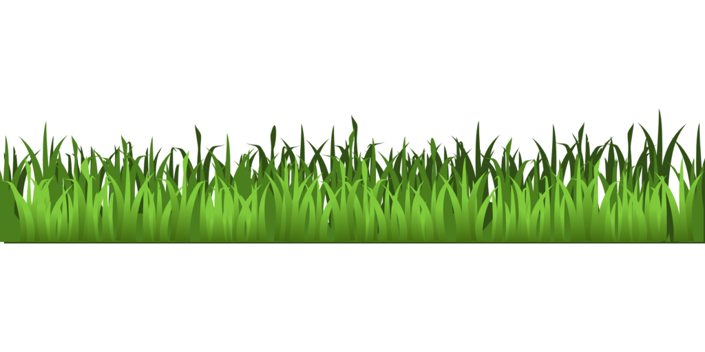 Download Field Grass Agriculture Free HD Image HQ PNG Image | FreePNGImg