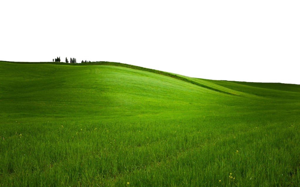 green field png