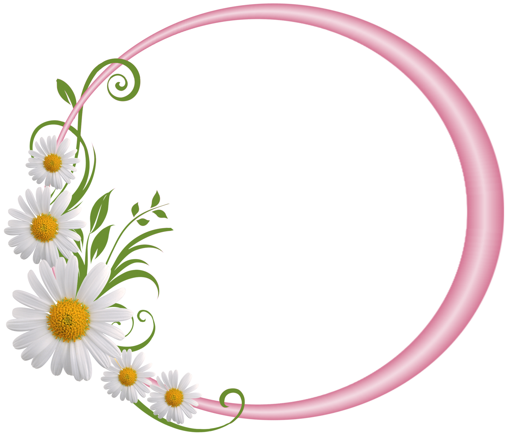 Circle frame png images