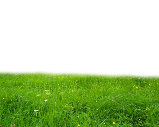 green field png