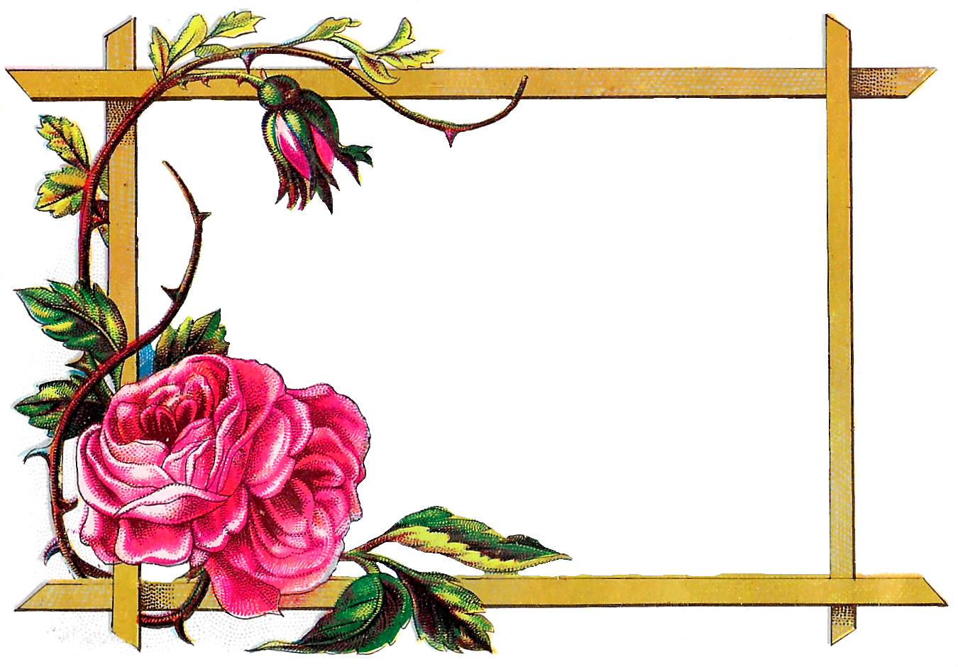 free floral borders frames clipart