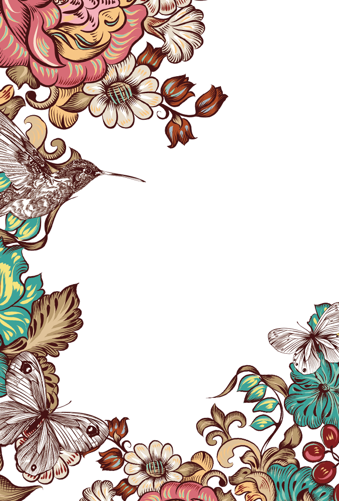 Frames Borders For Paper Flower - Good Morning Images With Borders Png,Paper  Flower Png - free transparent png images 