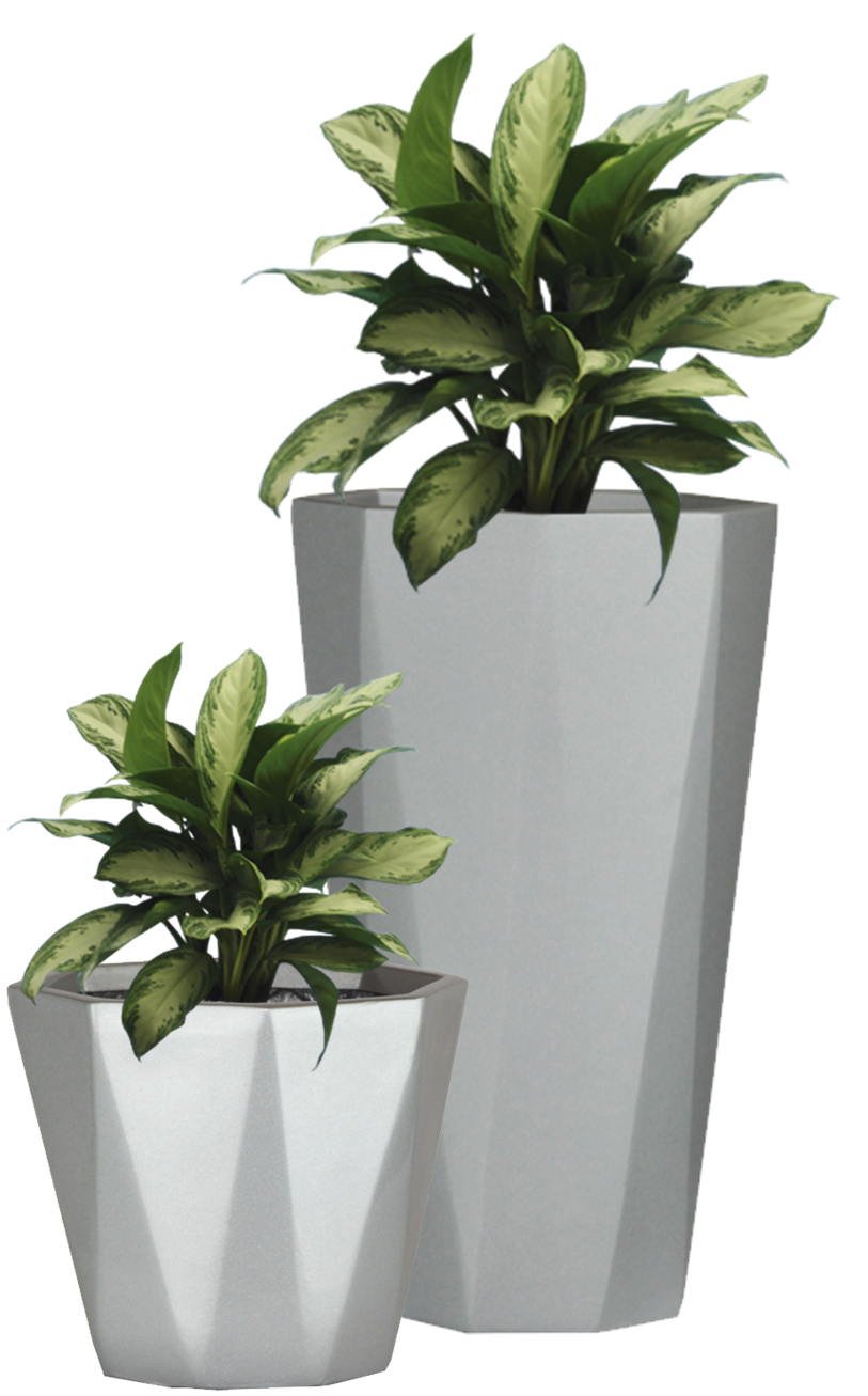 large potted plants png