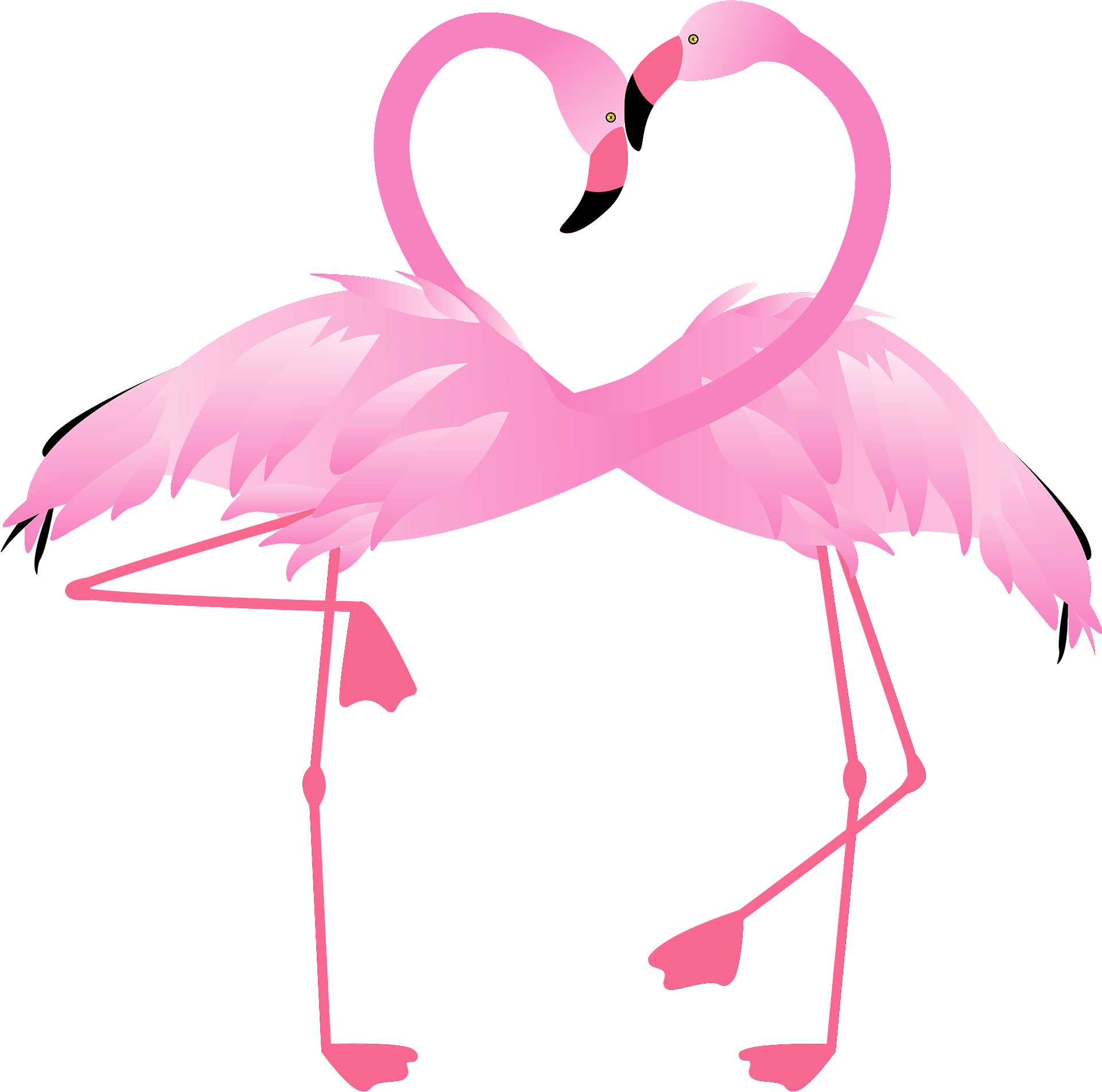 Pink Flamingos - Romantic flamingos surrounded by pink flowers and hearts -  CleanPNG / KissPNG