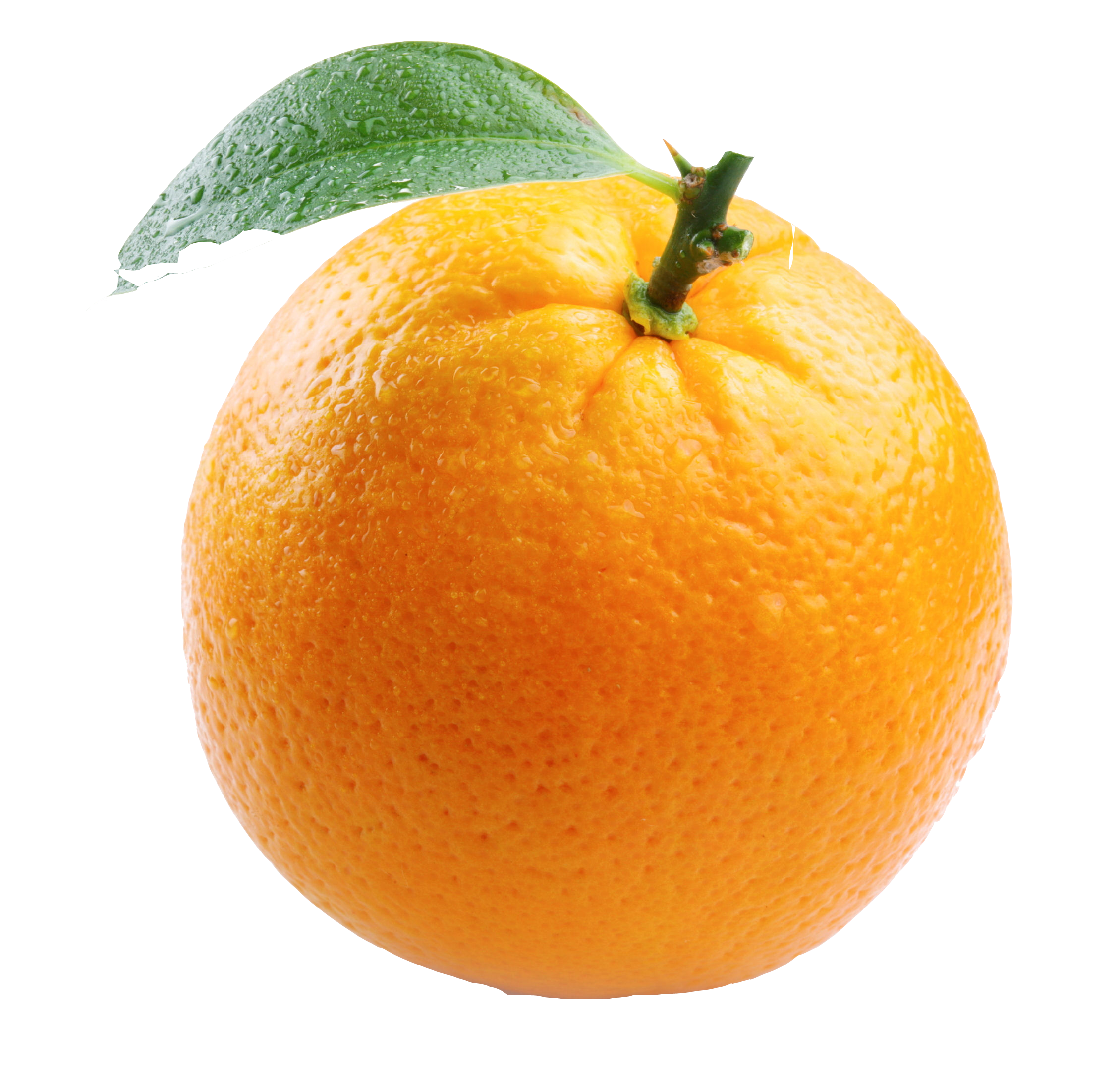 Với hình ảnh Orange PNG, bạn có thể tận dụng đầy đủ mọi chi tiết đẹp nhất của quả cam mà không cần phải loại bỏ nền hoặc thực hiện bất kỳ thay đổi nào. Trong khi đó, bạn vẫn có thể sử dụng nó độc lập hoặc kết hợp với những tài nguyên khác để tạo ra những trang trí độc đáo.