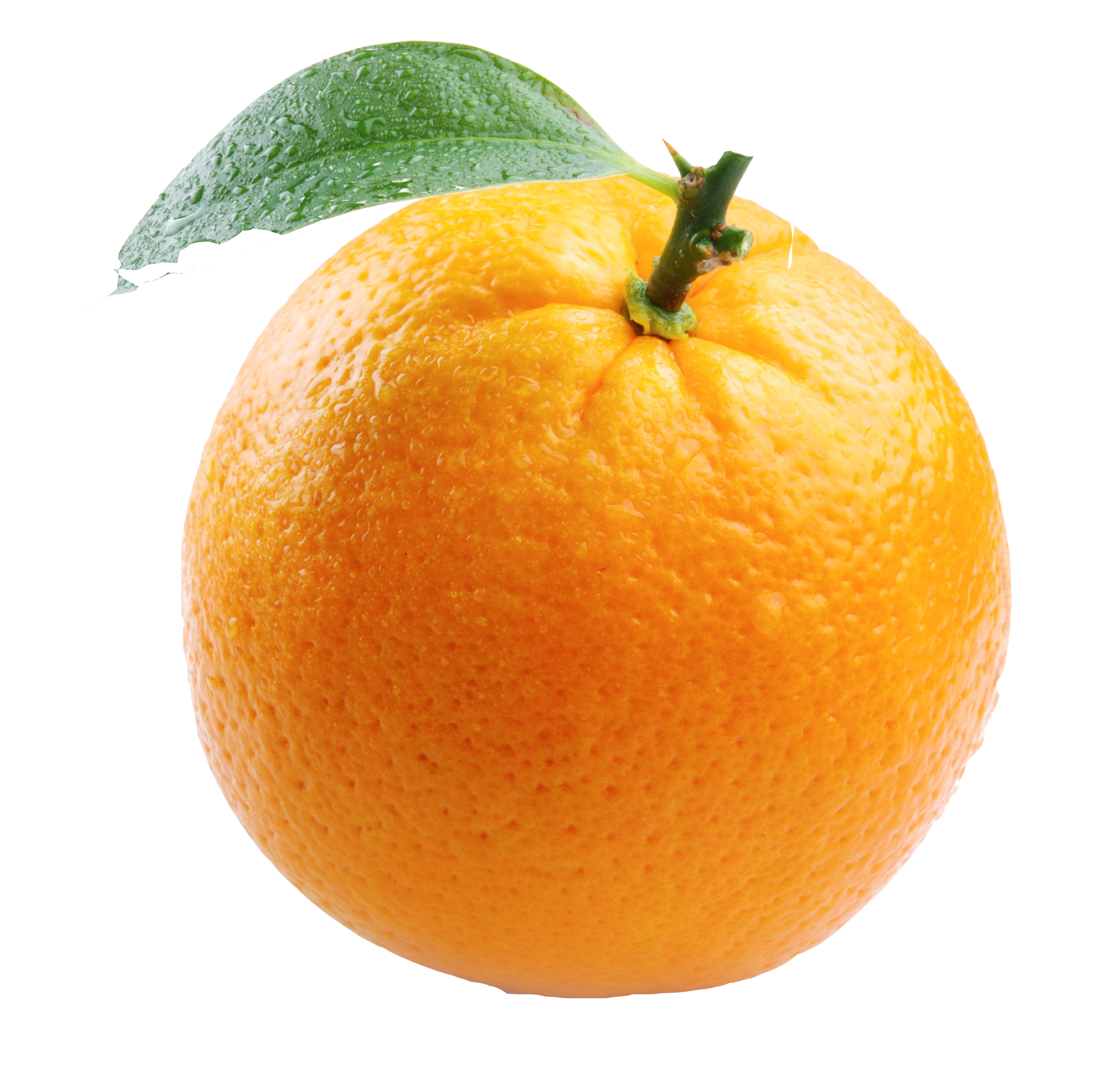 Free orange 2025