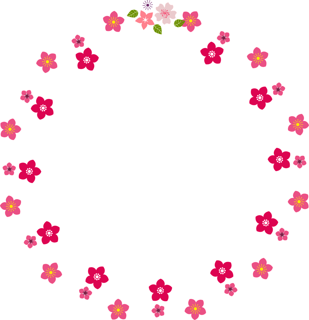 Pink Circle png download - 800*800 - Free Transparent Circle png