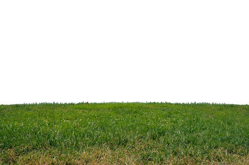 green grass background hd