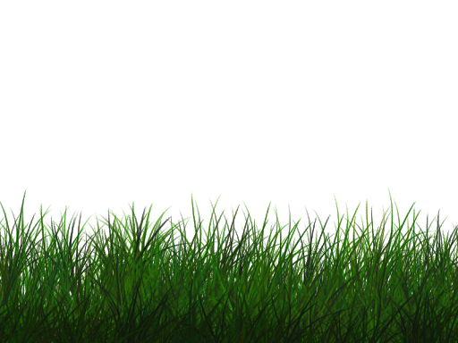 Green Grass Background png download - 829*1280 - Free Transparent