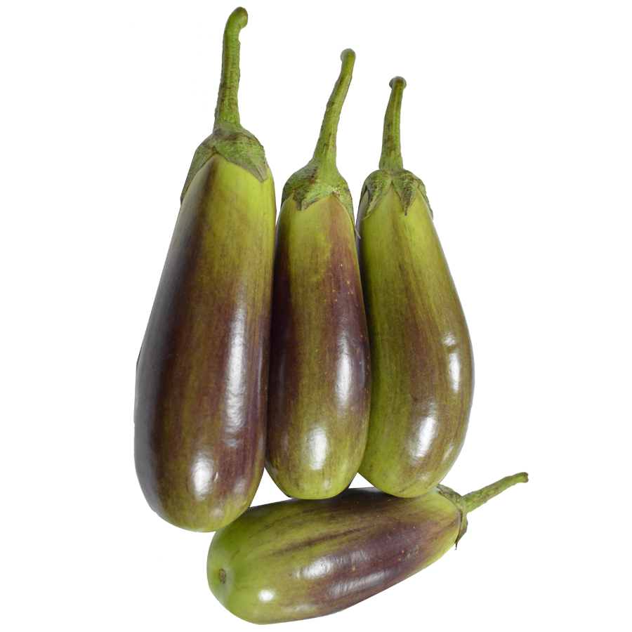 green brinjal