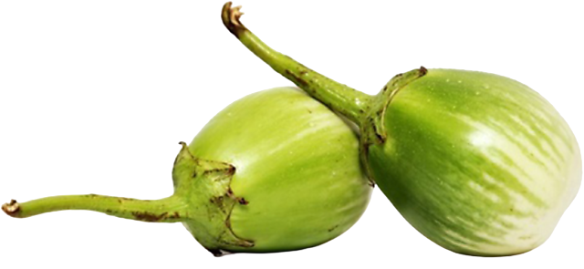 green brinjal