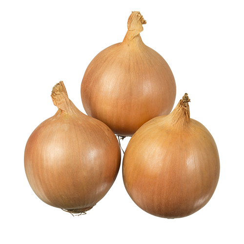 Shallots Picture Background Images, HD Pictures and Wallpaper For Free  Download