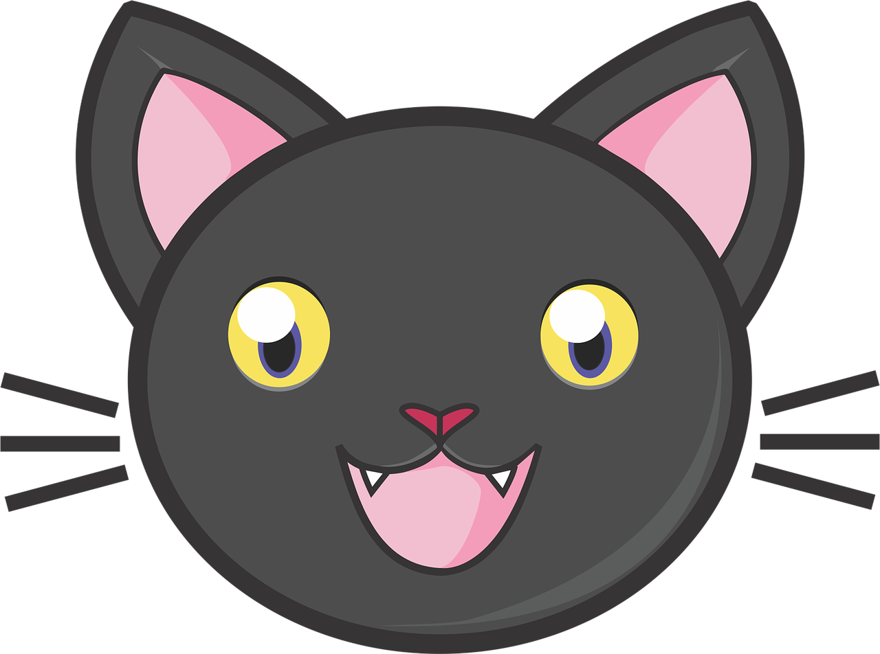 cute cat head png