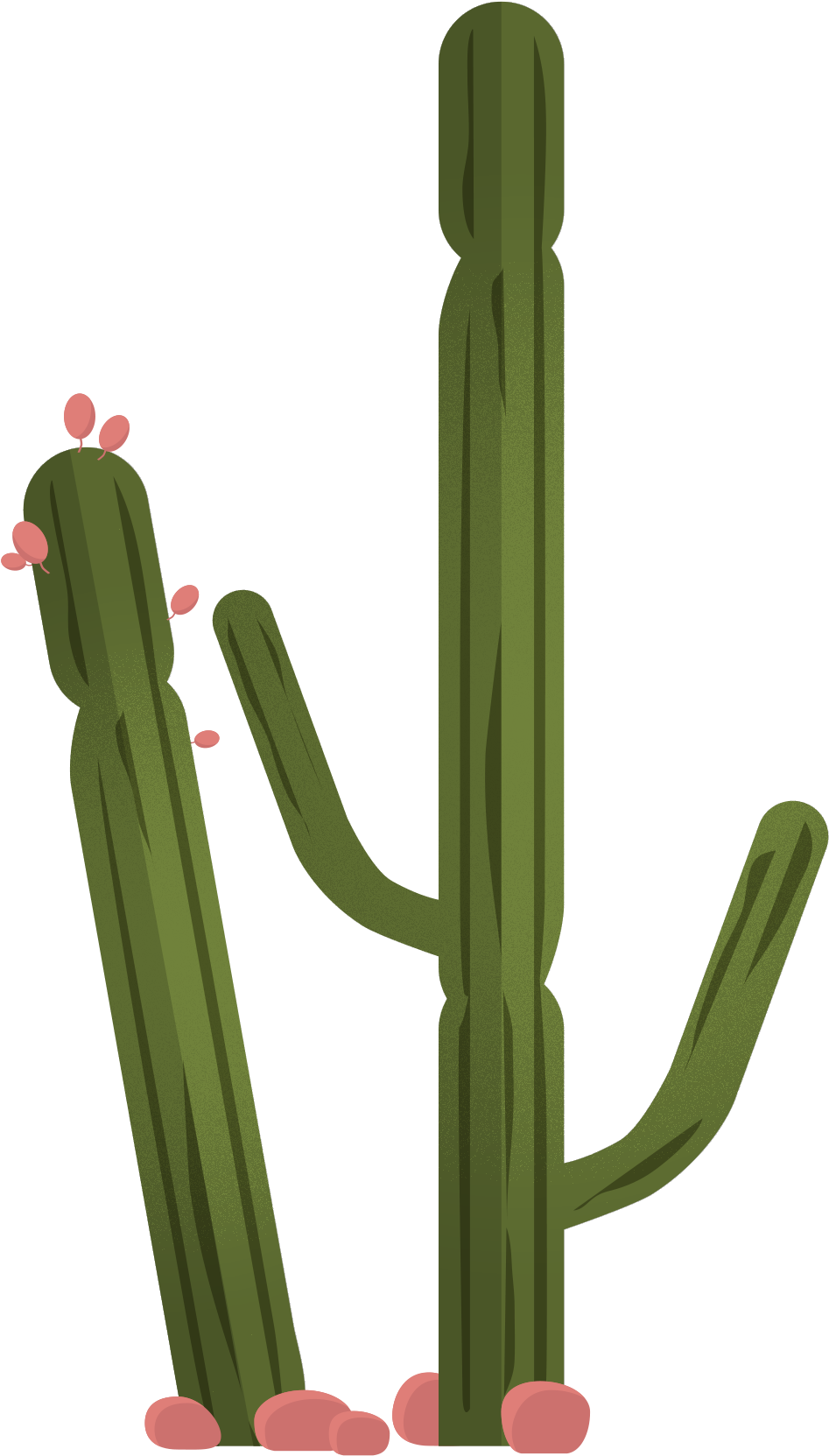 Cartoon Cactus Vector PNG Images, Cactus Green Cartoon Cactus