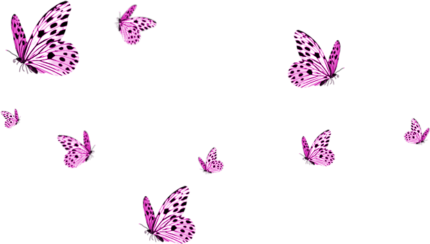 Download Pink Butterfly Photos HD Image Free HQ PNG Image | FreePNGImg