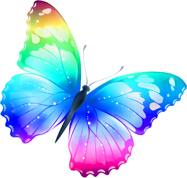 Butterfly 3d PNG Transparent Images Free Download, Vector Files