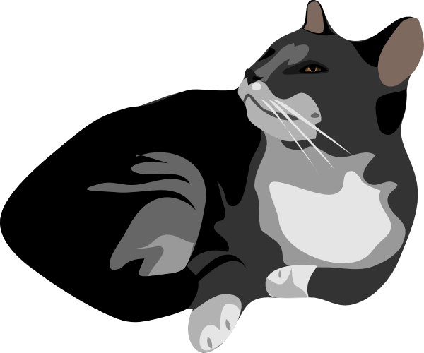 Cat Cartoon png download - 1000*892 - Free Transparent Into The Wild png  Download. - CleanPNG / KissPNG
