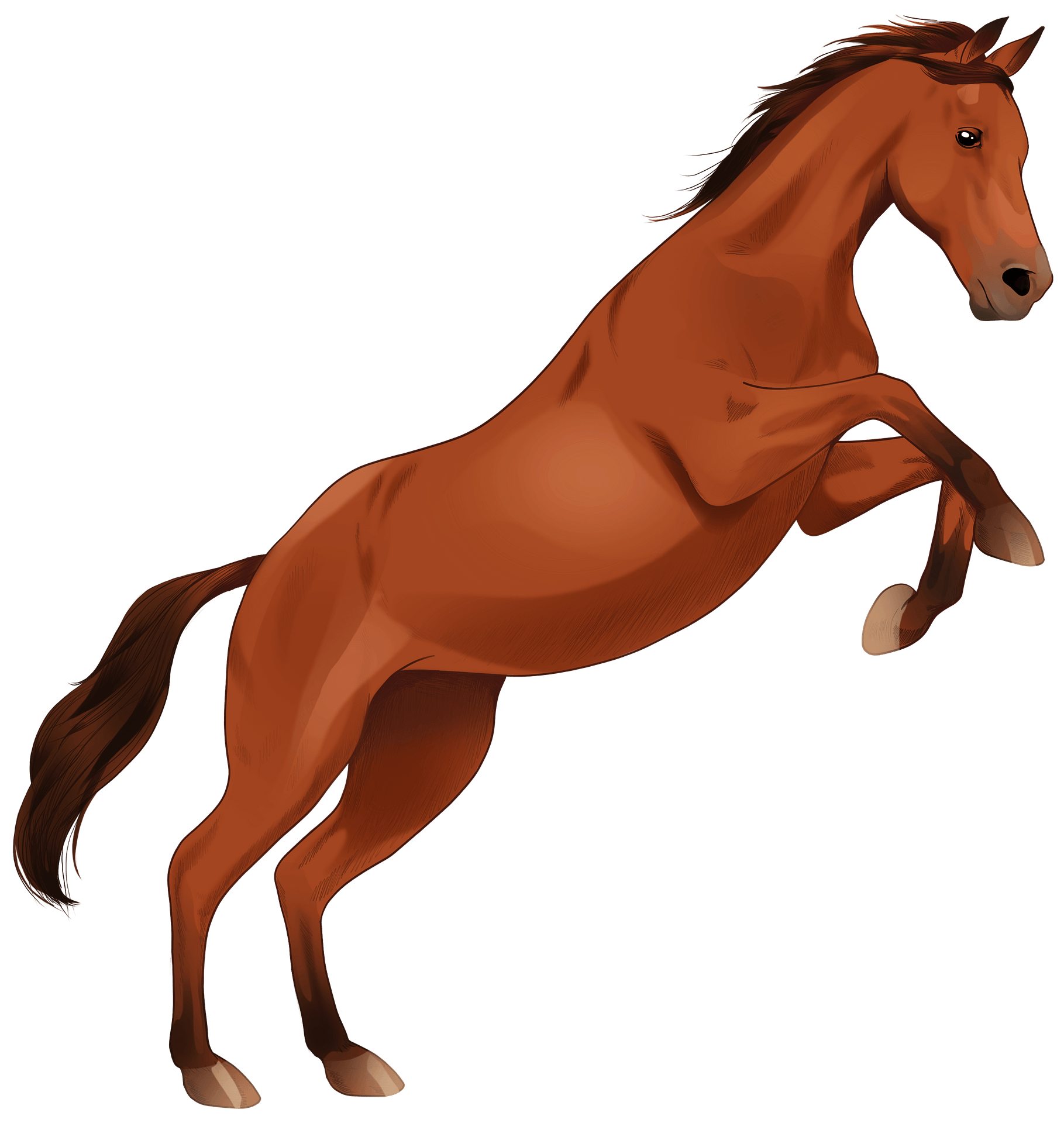 brown arabian horses