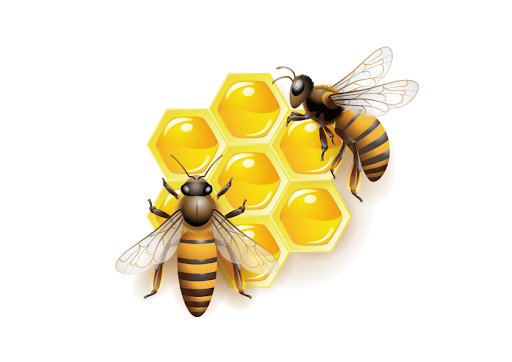 Western honey bee Heart , bee transparent background PNG clipart