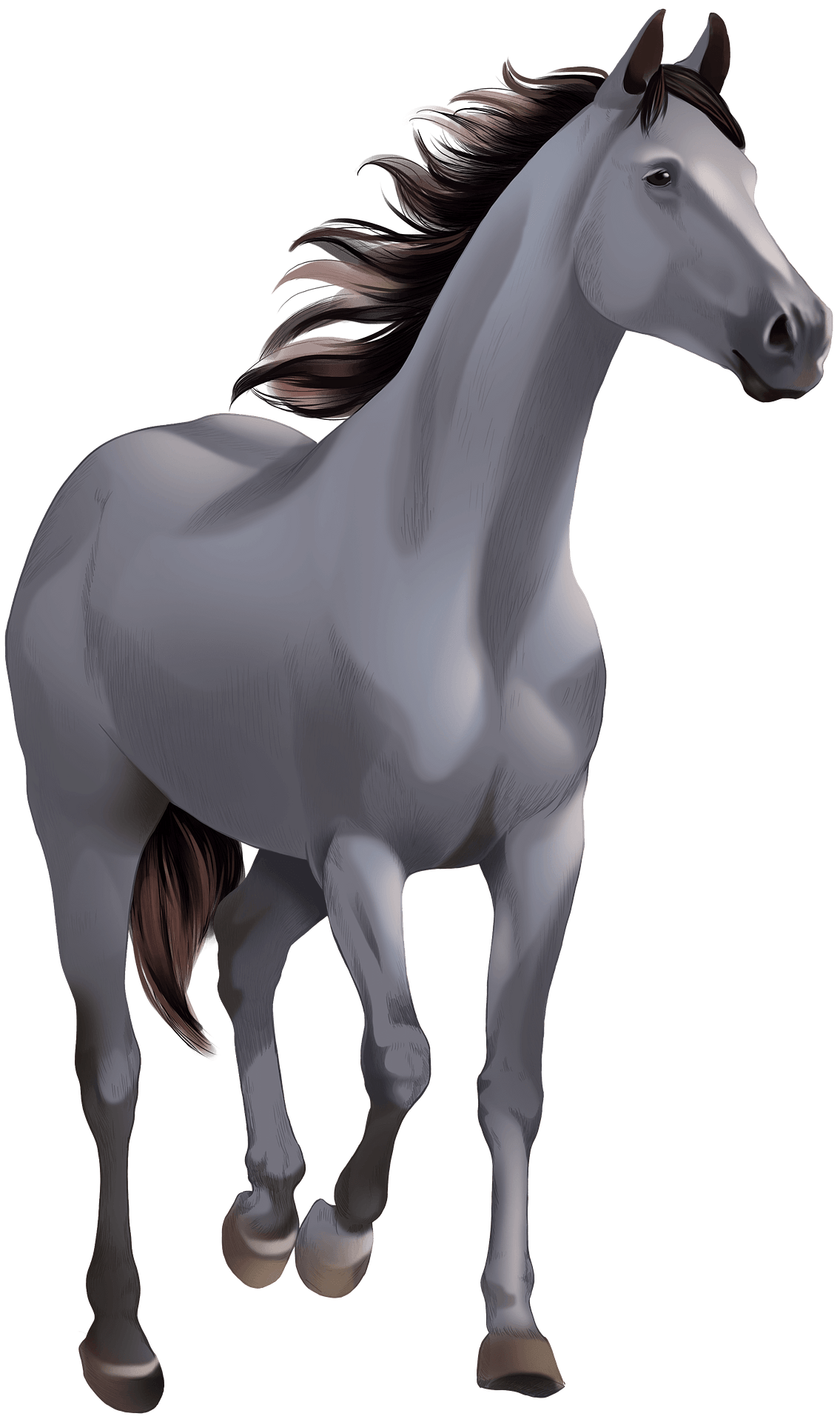 free stable clipart