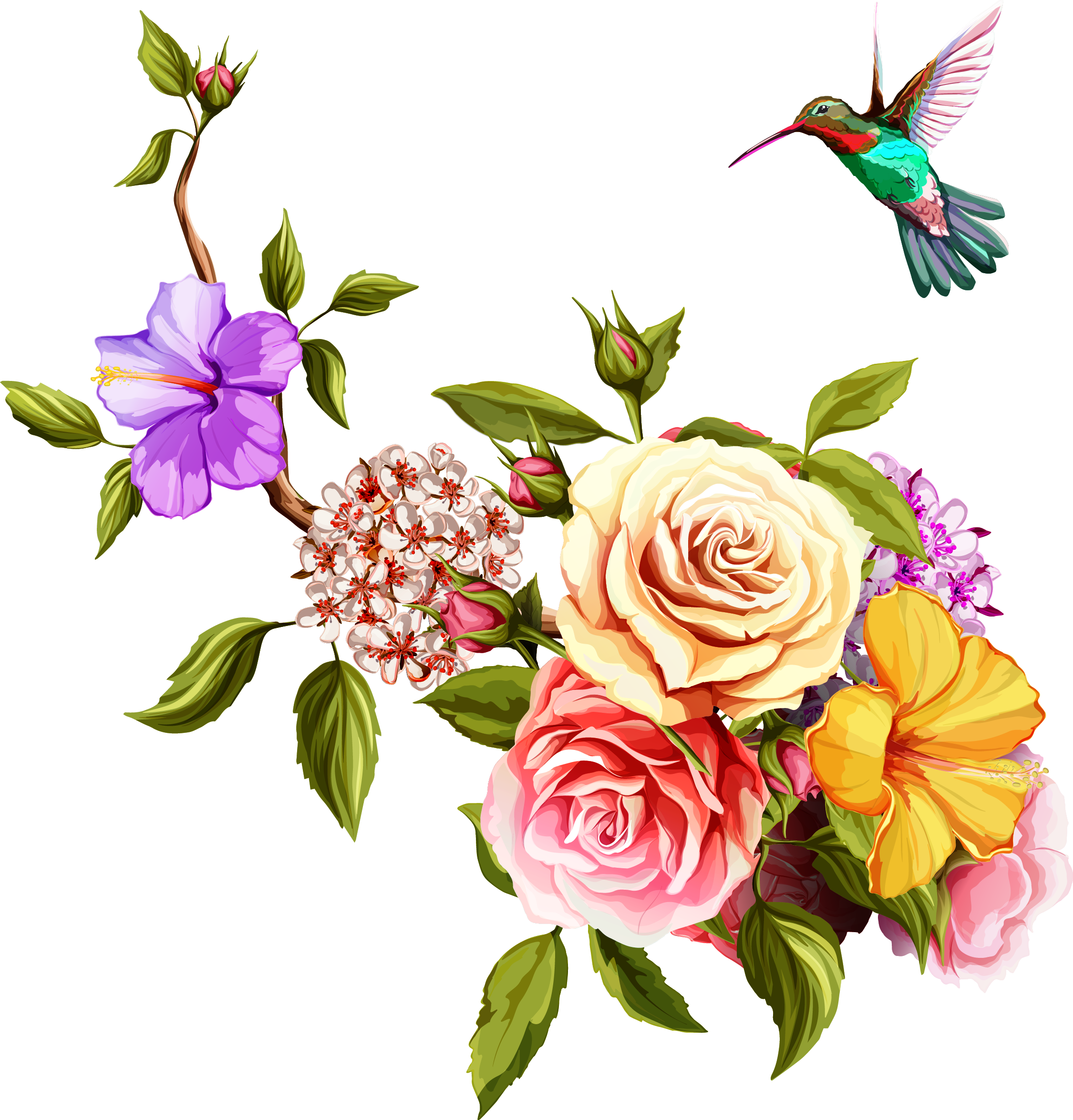 hummingbird flowers clip art