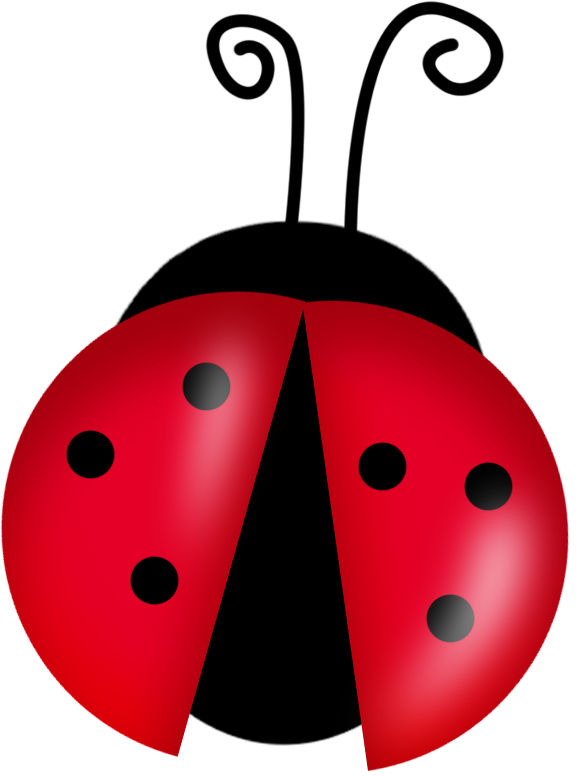 Lady Bug PNGs for Free Download