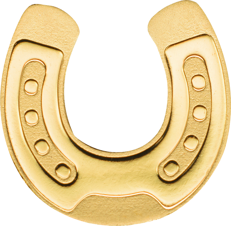 4,800+ Gold Horse Shoe Stock Illustrations, Royalty-Free Vector Graphics &  Clip Art - iStock