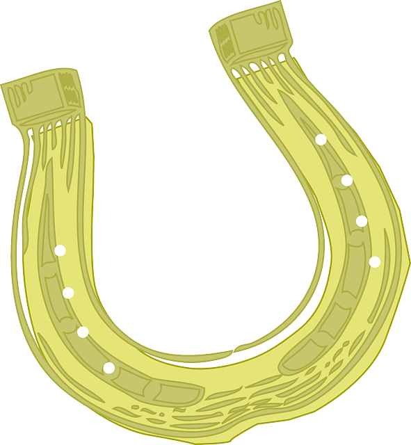 horseshoe clip art png