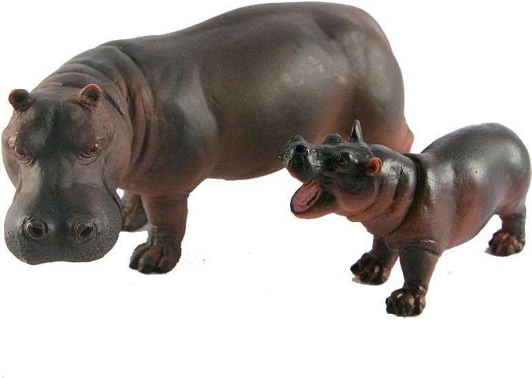 Hippo png images