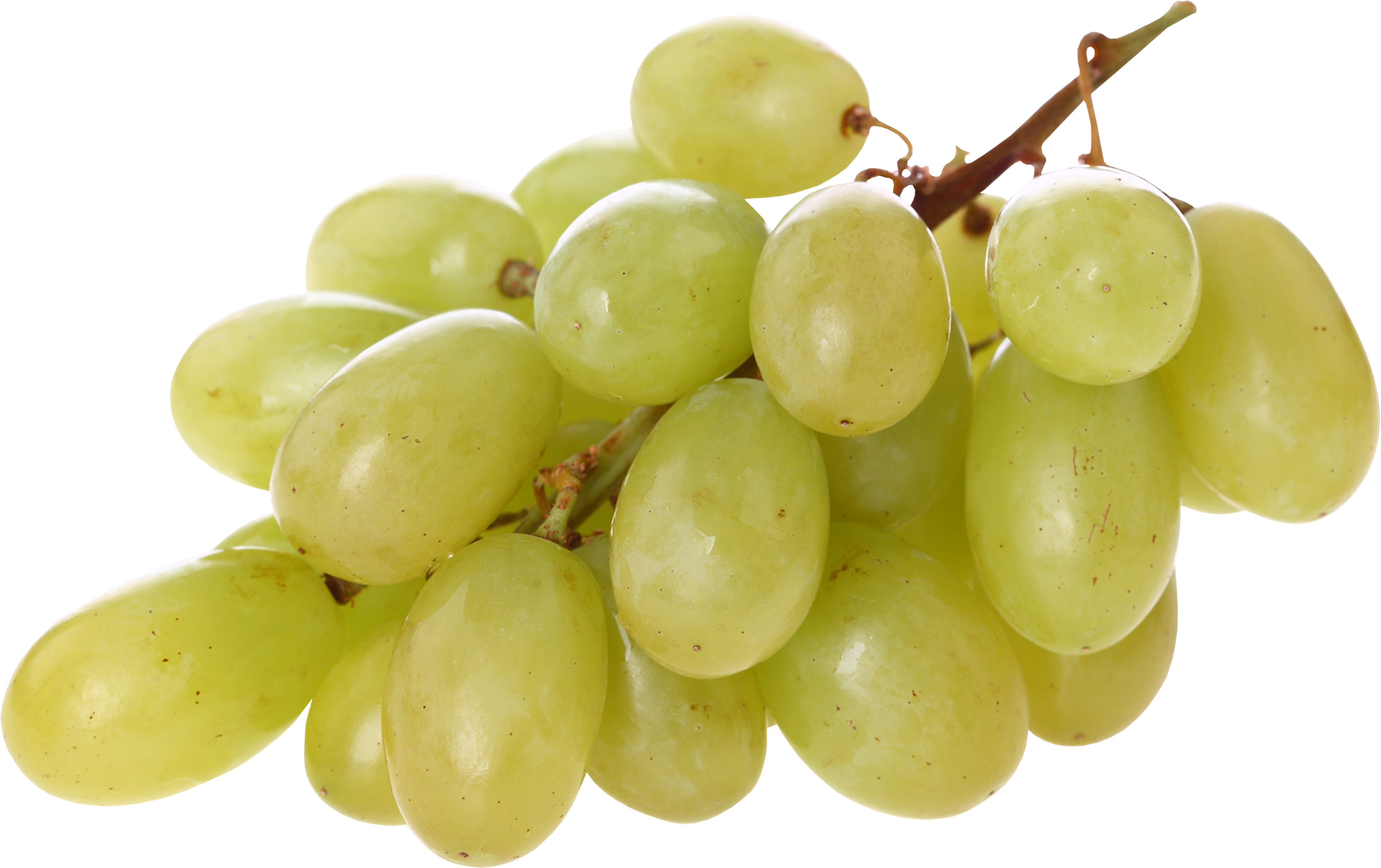 fresh grapes png