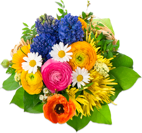 png format images of flowers