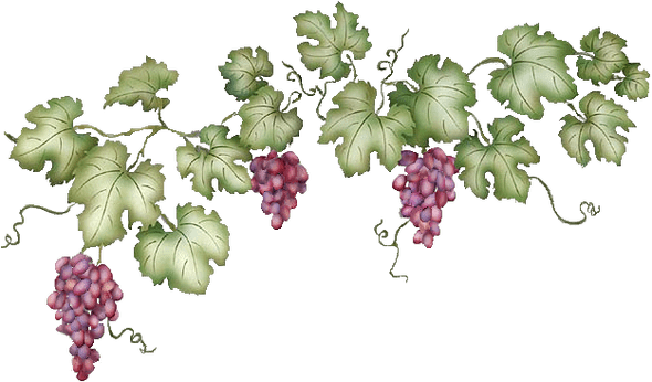 vine icon transparent background